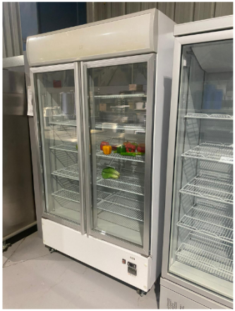 Mitchel LG freezer two glass door 